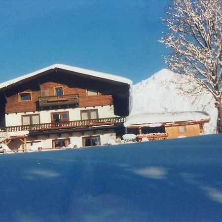 Haus Elsa Apartment Ramsau am Dachstein Ngoại thất bức ảnh