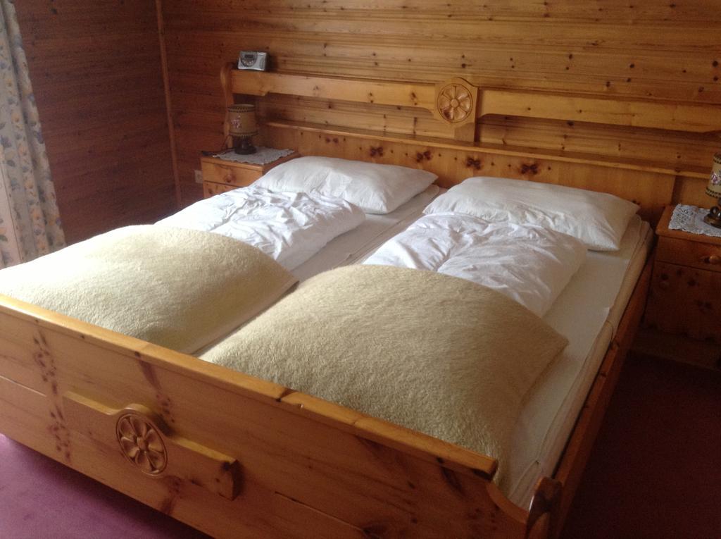 Haus Elsa Apartment Ramsau am Dachstein Phòng bức ảnh