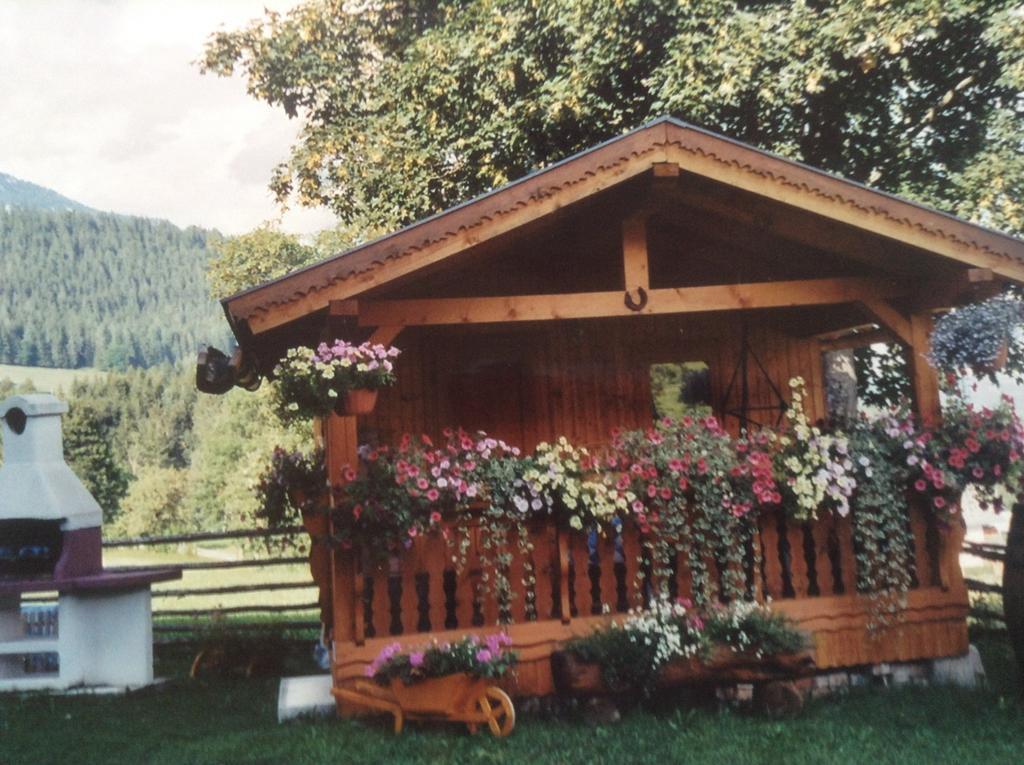 Haus Elsa Apartment Ramsau am Dachstein Ngoại thất bức ảnh