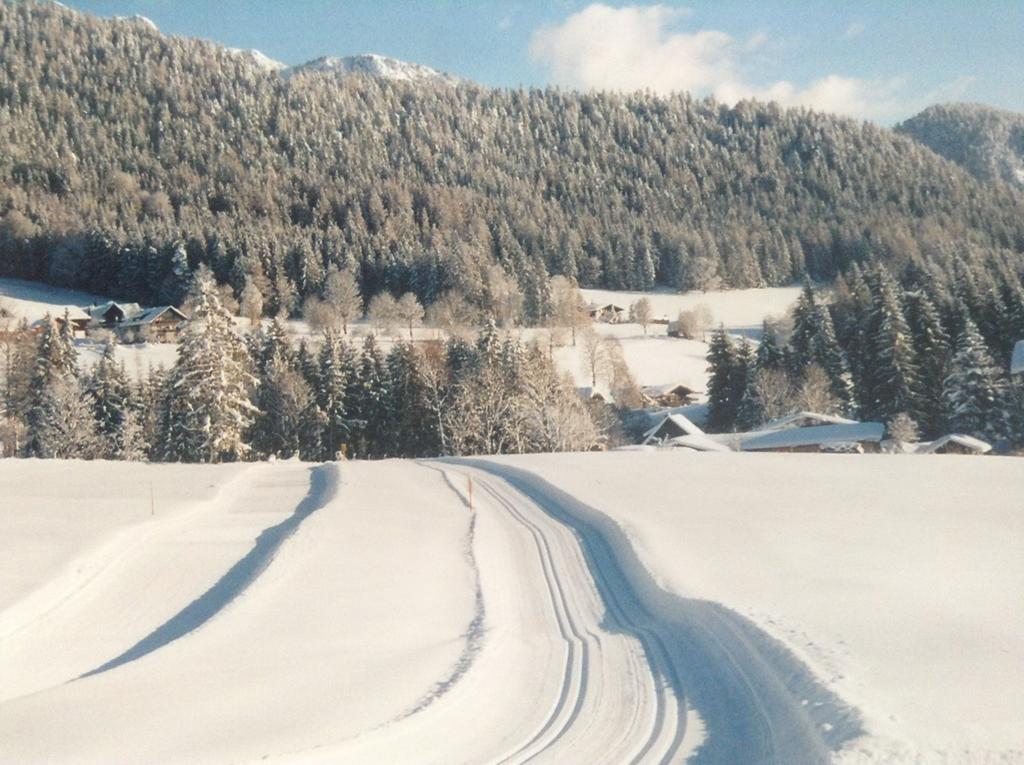 Haus Elsa Apartment Ramsau am Dachstein Ngoại thất bức ảnh