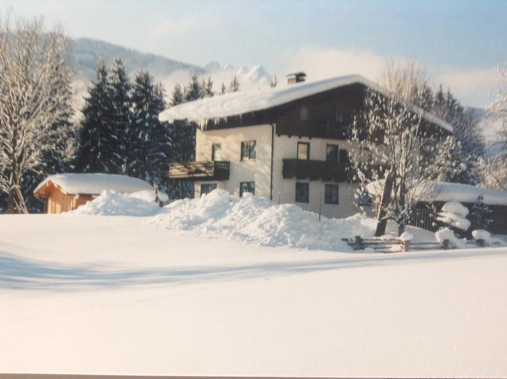 Haus Elsa Apartment Ramsau am Dachstein Ngoại thất bức ảnh