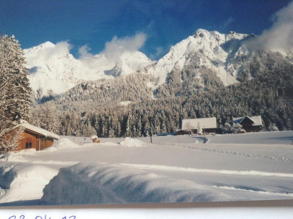 Haus Elsa Apartment Ramsau am Dachstein Ngoại thất bức ảnh
