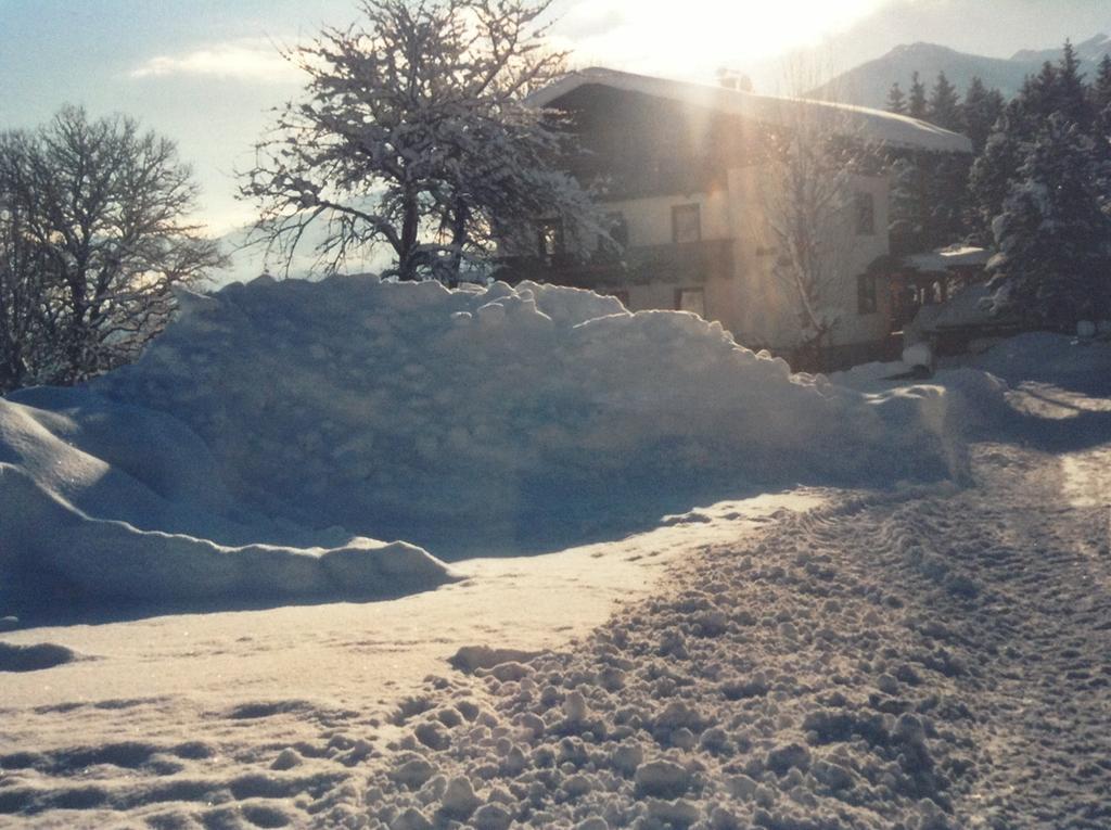 Haus Elsa Apartment Ramsau am Dachstein Ngoại thất bức ảnh